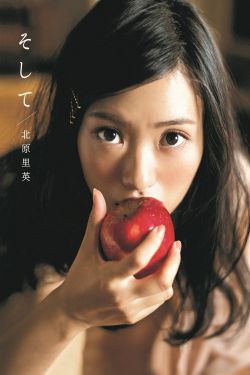 南风知我意电视剧免费观看